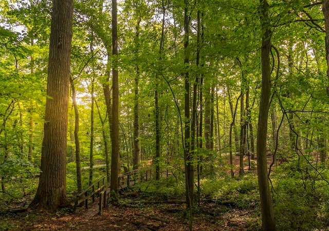 Weinberg Nature Center - Image 3