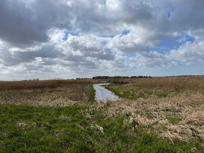 Groene Jonker - Image 1