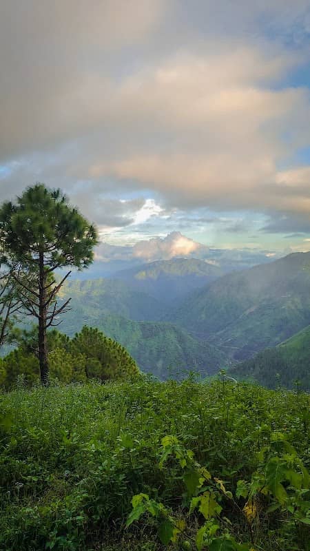 BASADHAR - Image 1