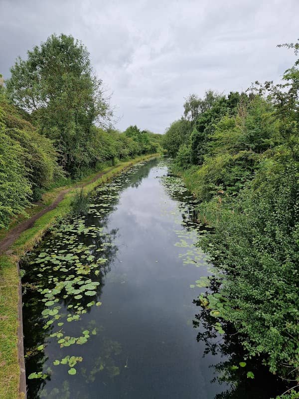 Bentley Haye Local Nature Reserve - Image 2