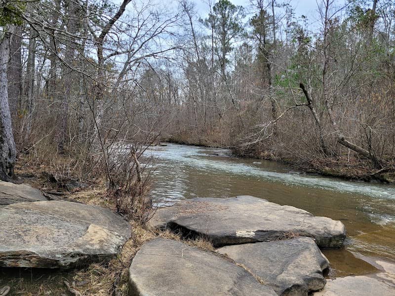 Line Creek Nature Area - Image 2
