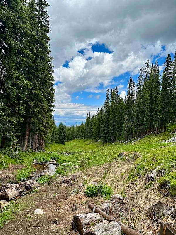 Twins Meadow - Image 1
