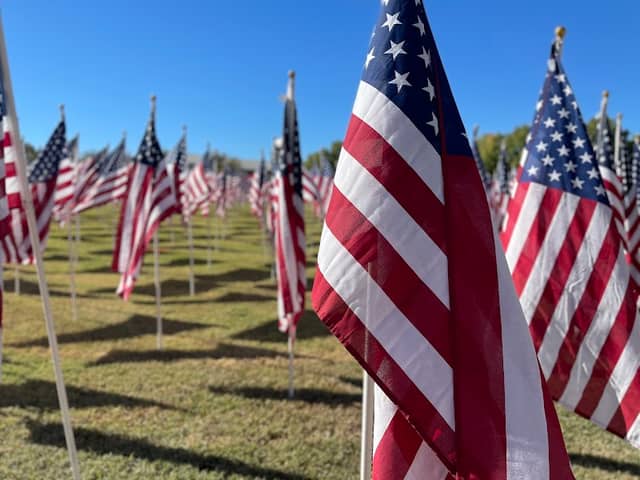 Gold Star Families Memorial Monument - Image 1