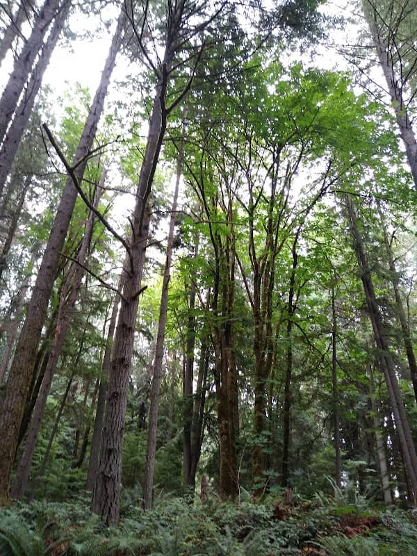 Avonlea Park - Image 1