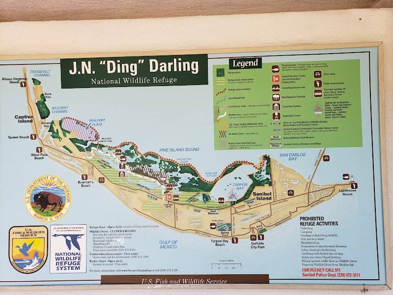 "Ding" Darling Refuge Tram Tour - Image 3