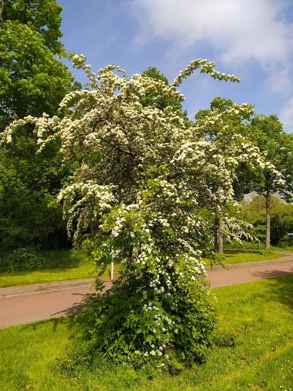 Imkerseind - Image 1