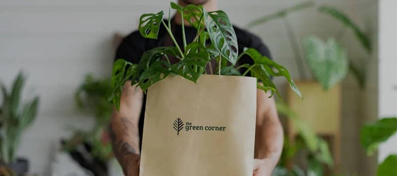 the green corner - Image 2