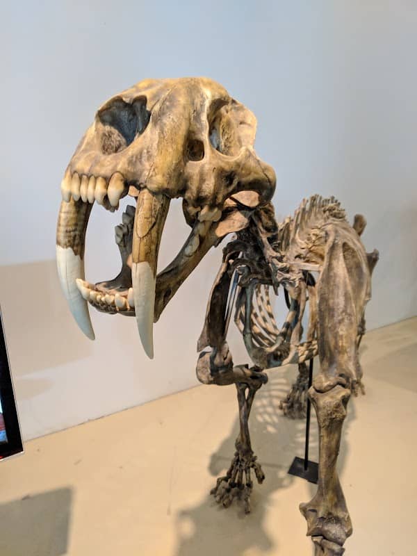 Fossil Discovery Center of Madera County - Image 1