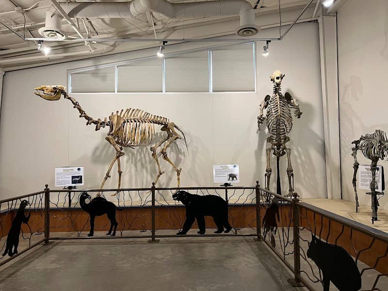 Fossil Discovery Center of Madera County - Image 2