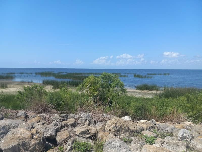 Okeechobee Lake Scenic Trail - Image 2