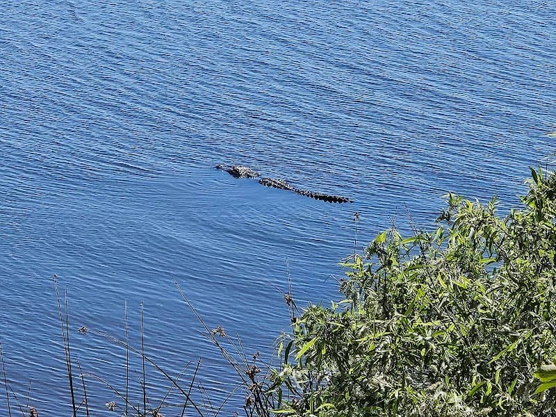 Okeechobee Lake Scenic Trail - Image 1