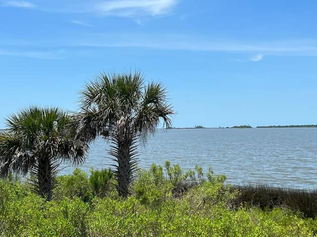 Withlacoochee Bay Trail. 10201 N Suncoast Blvd Crystal - Image 2