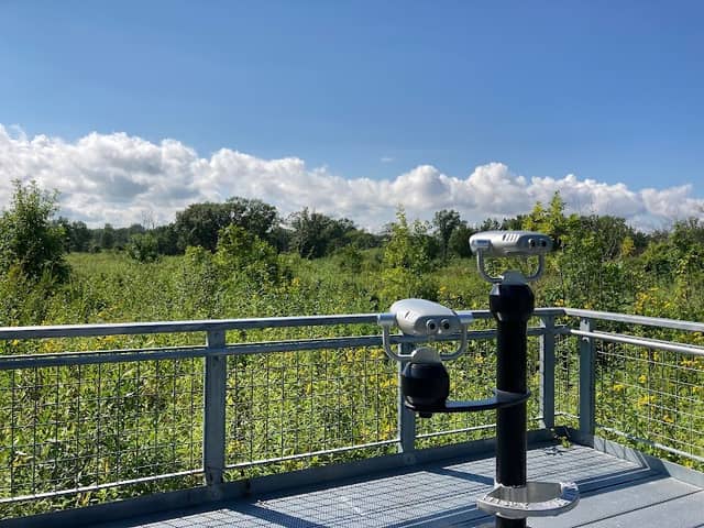 Spring Bluff Forest Preserve - Image 3