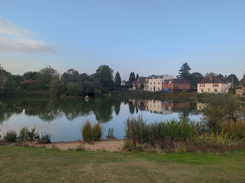 Latchmoor Pond - Image 2