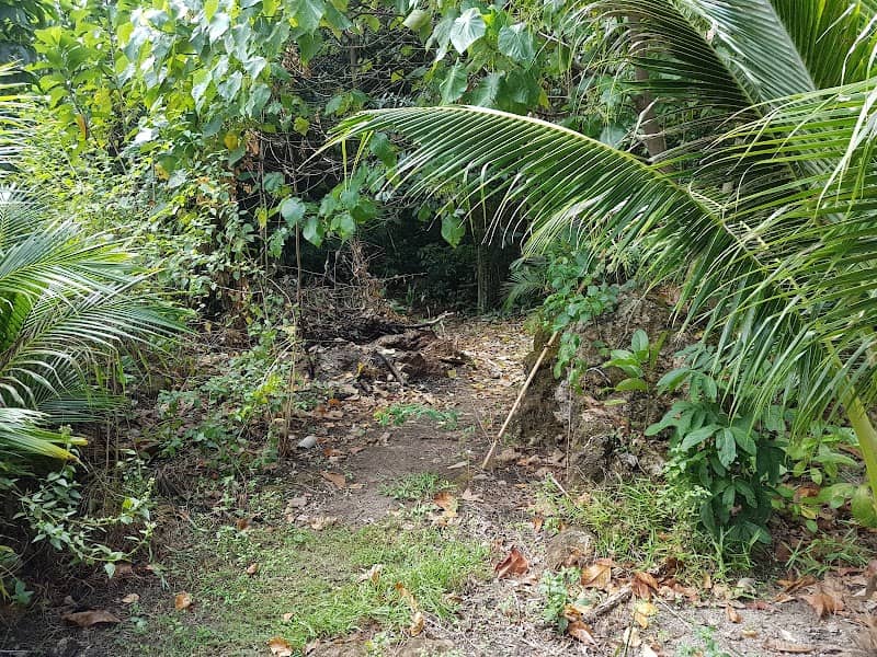 Ewu Beach - Image 1