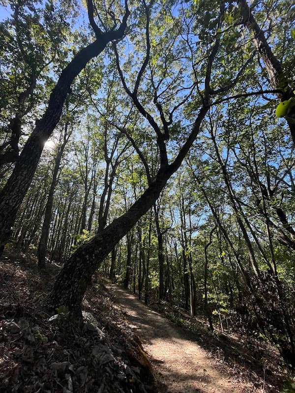 Sawnee Mountainside Hiking & Parking - Image 2