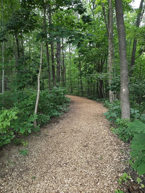 Onanda Park Upland Parking Access - Image 1