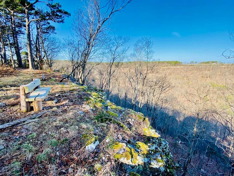 The Lookout - Image 1