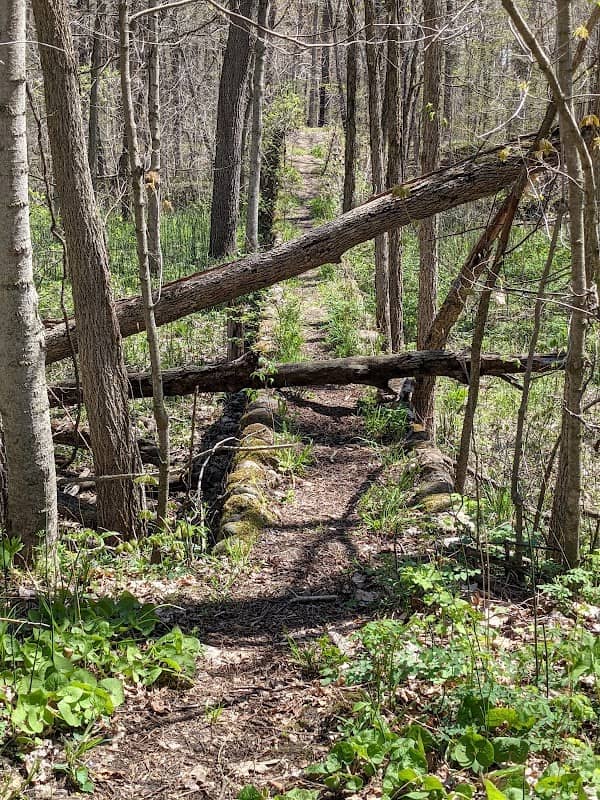 Lapeer State Game Area - Image 1