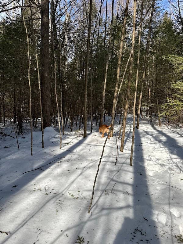 Honey Pot Wildlife Management Area - Image 1