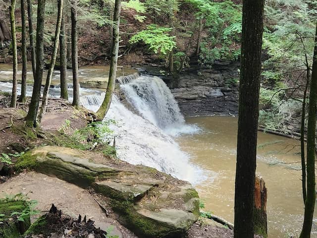 Freedom Falls - Image 1