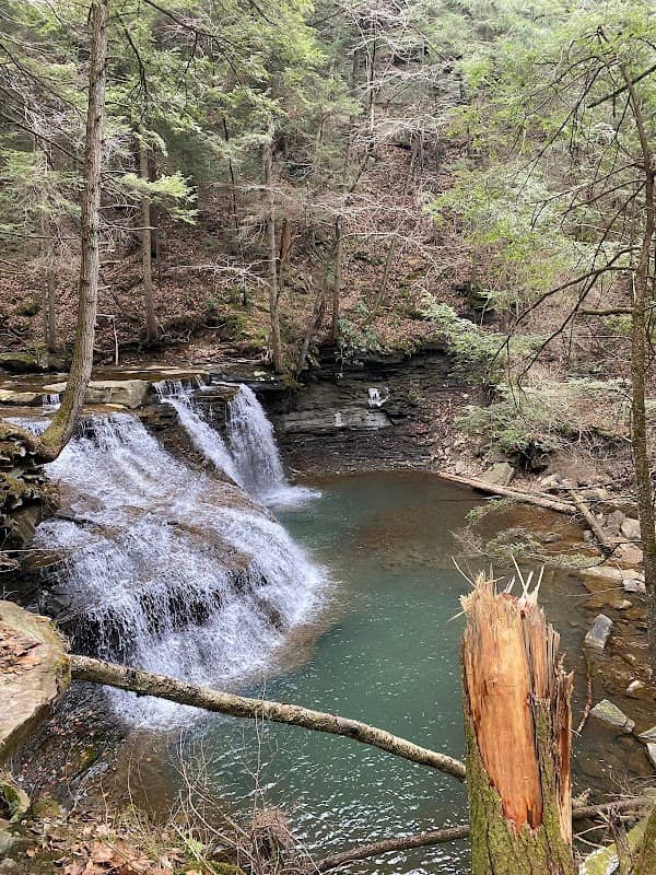 Freedom Falls - Image 2