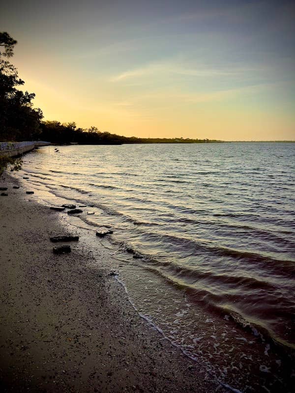 Pinellas County Park, Philippe Park, Safety Harbor - Image 1