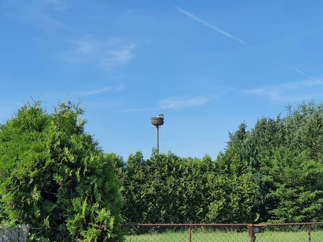 Storchennest - Image 2