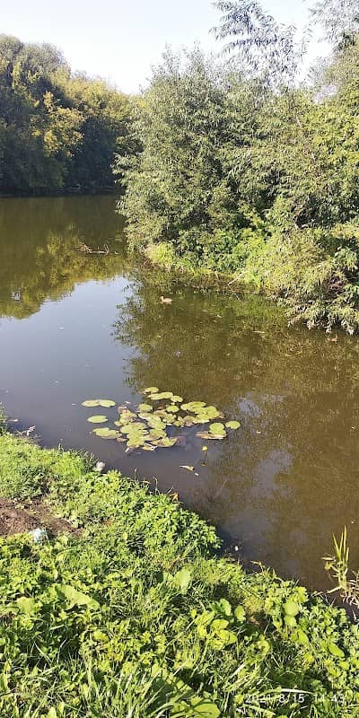 Ecopark - Image 1