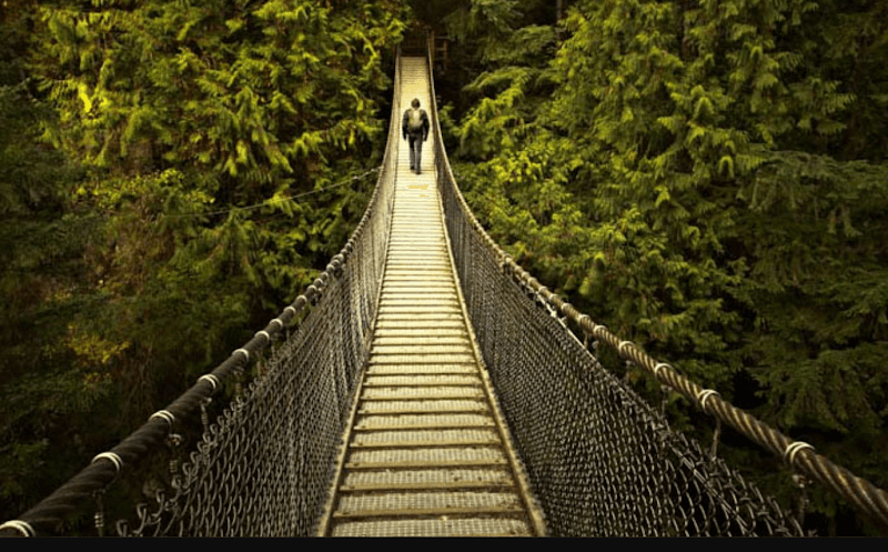 Lynn Canyon Ecology Centre - Image 3