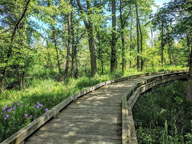 Northeast Park - Image 2