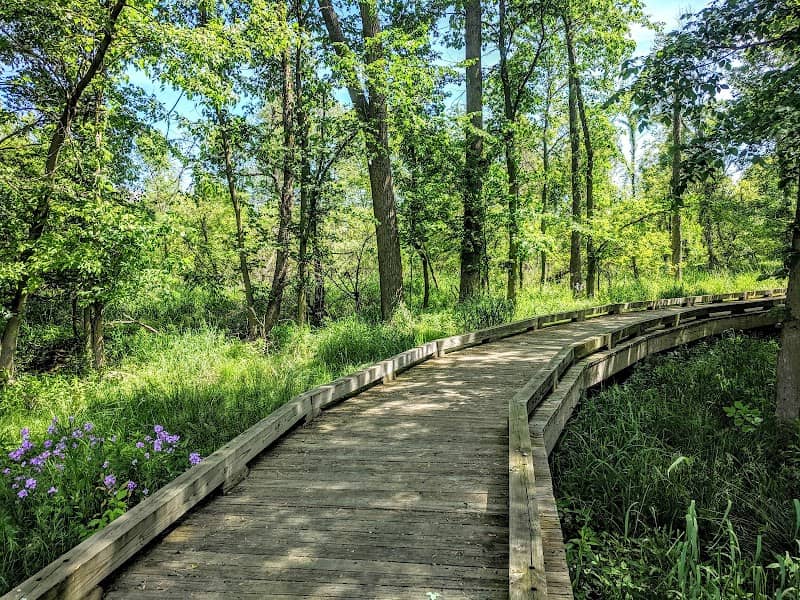Northeast Park - Image 2