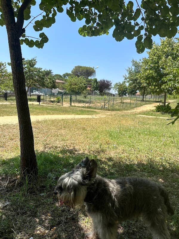 Sgambatoio cani - Image 1