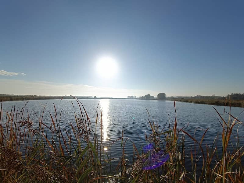 Vogelkijkhut Roode Weel - Image 1