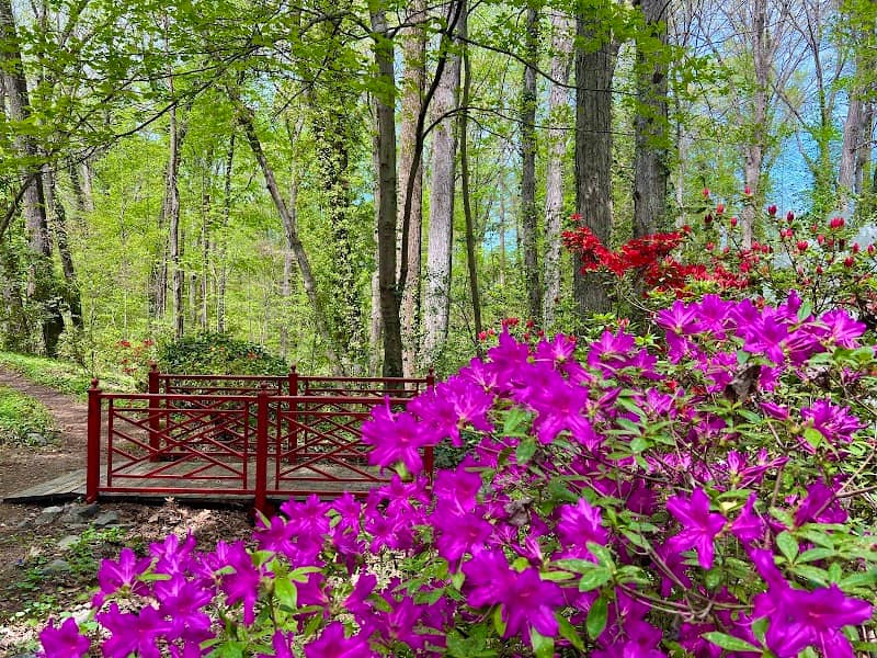 Marie Bowen Gardens - Image 2