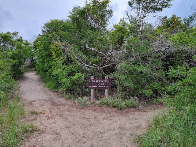 Robert Harrill "The Fort Fisher Hermit's" Bunker - Image 2
