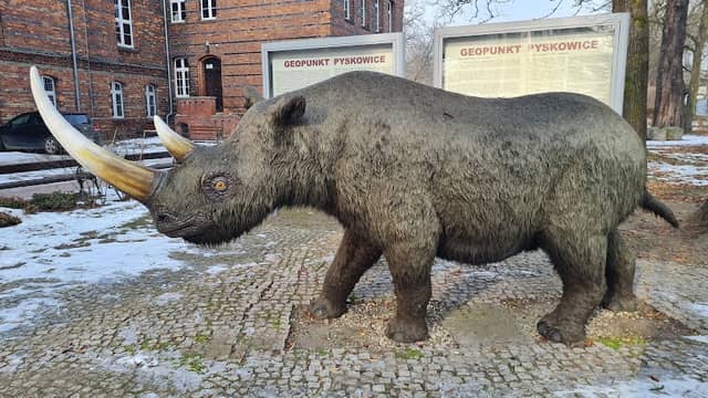 GEOPUNKT PYSKOWICE - Image 1