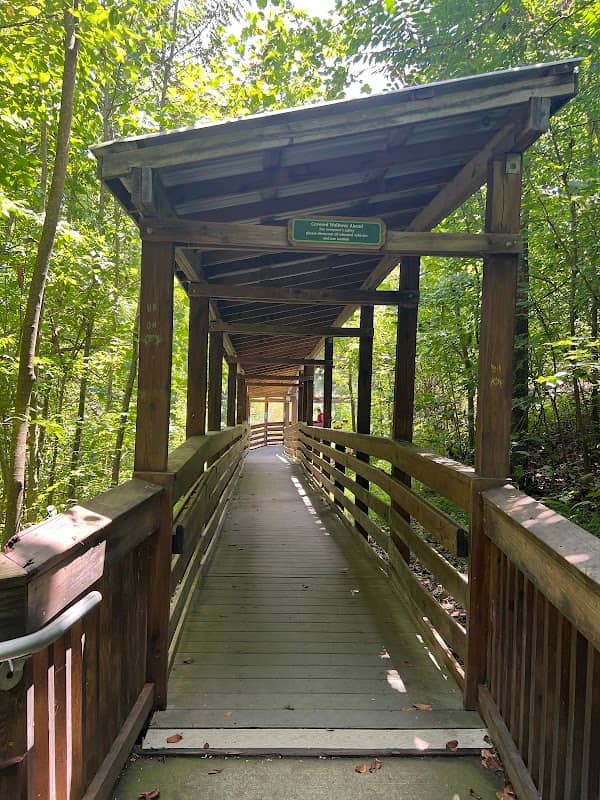 Gold Park - Image 2