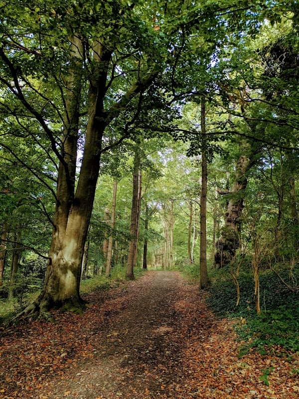Chirk Castle Gardens - Image 2