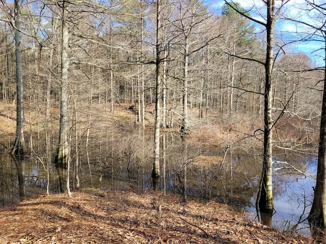 Byrd Lake Natural Area - Image 2