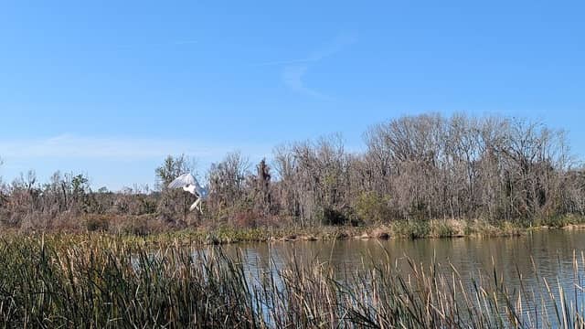 Oakland Nature Preserve - Image 1