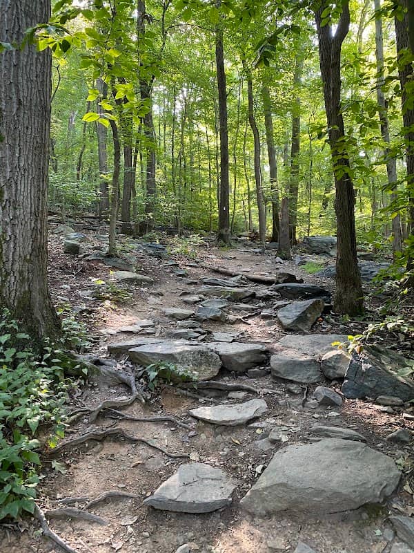 Weverton Cliffs - Image 2