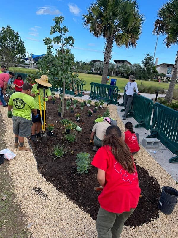Alejandro Tapia-Aboy's Butterfly Garden Eagle Scout Service Project - Image 2
