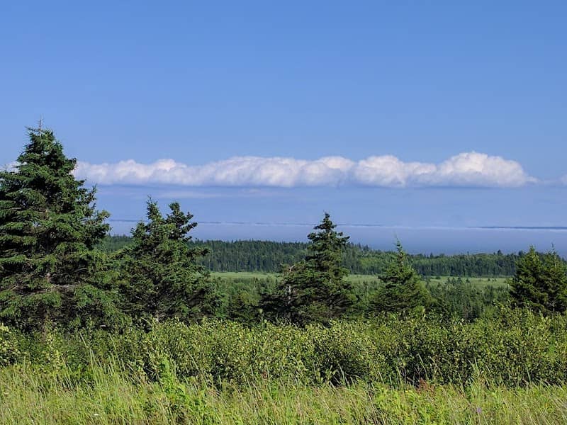 Shepody National Wildlife Area - Image 1