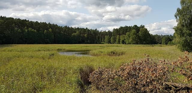 Trojanka Spring - Image 1