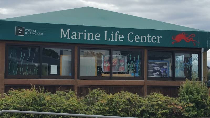 Marine Life Center - Image 2