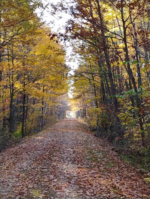 Mountain Bay Trail - Image 1