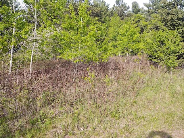 Mountain Bay Trail - Image 2
