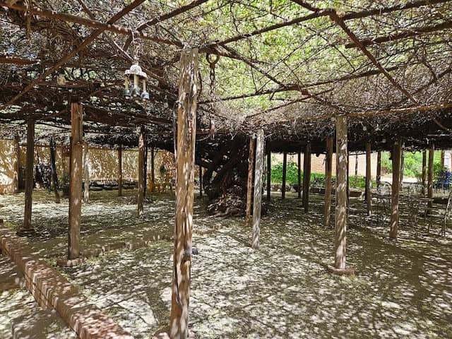 Rose Tree Museum - Image 1