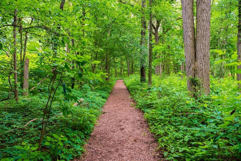Wintergarden - Image 3